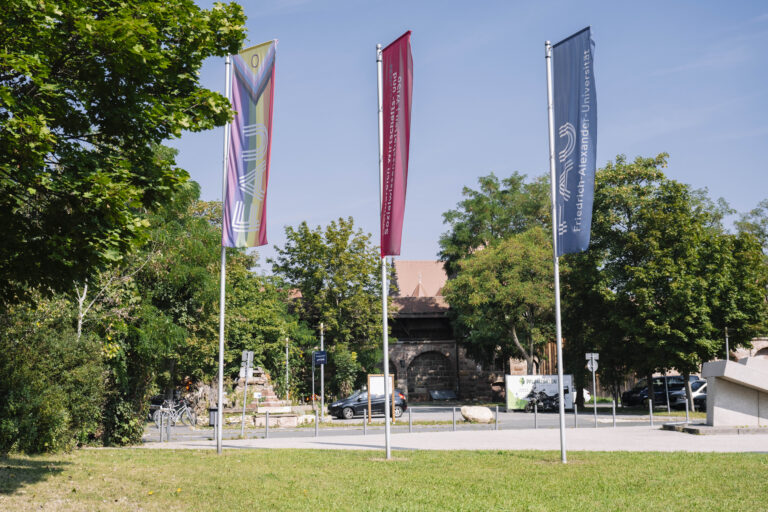 PhD Position in DFG Project